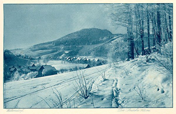 Na této zimní pohlednici vidíme Luž s horní částí Waltersdorfu ze svahu Butterbergu.