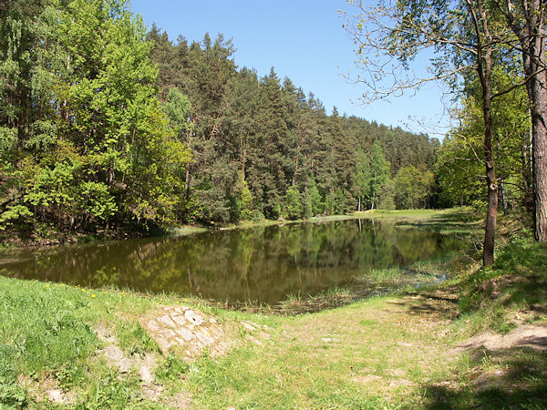 Přední Janovický rybník.