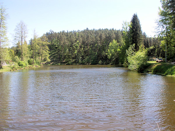 Obecní rybník v Janovicích se zalesněným návrším v pozadí.