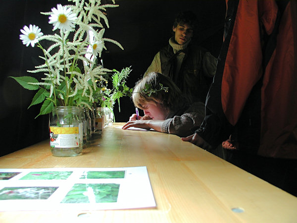 Slavnosti lužickohorských luk 17. června 2006 - poznávání lučních rostlin.