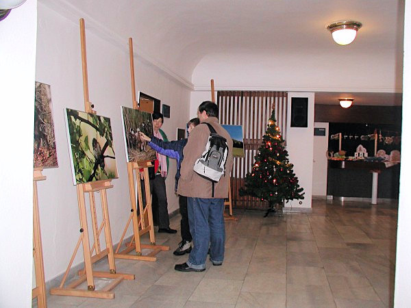Lužické ozvěny Ekofilmu 15. prosince 2007 - výstava fotografií.