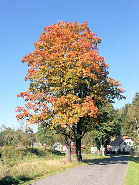 Herbstanfang in Mlýny.