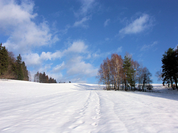 Verschneiter Weg nach Rousínov (Morgenthau).