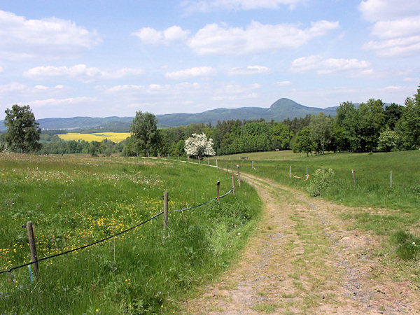 Cesta jarními pastvinami do Sloupu. V pozadí je hora Klíč.