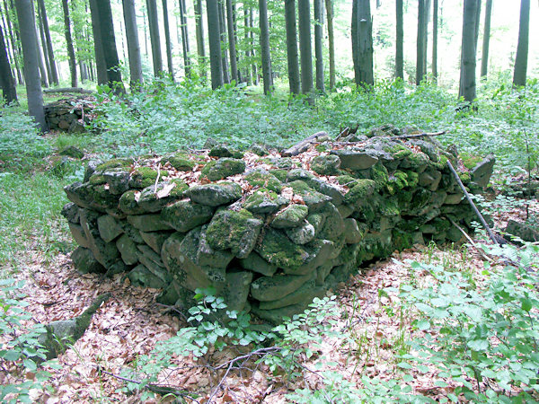 Hromada sesbíraných kamenů v lese pod Pěnkavčím vrchem.