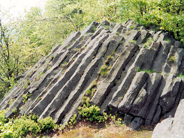 Basaltsäulen am Zlatý vrch (Goldberg) bei Líska (Hasel).