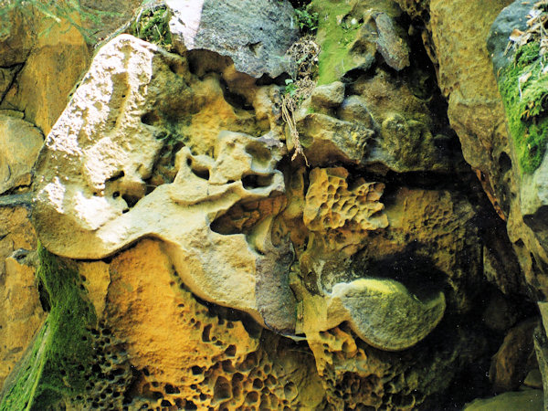 Zajímavé útvary v pískovcových skalách Modlivého dolu.