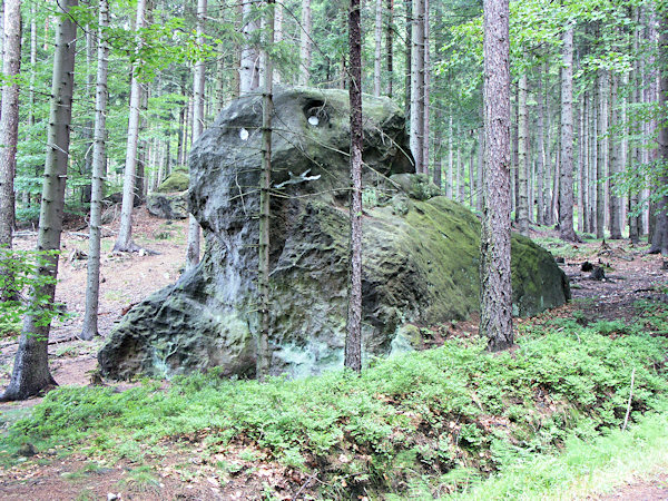 Der in den Felsen verzauberte Hund unter dem Milštejn (Mühlstein).