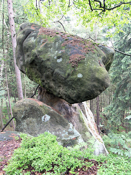 Der Felsenpilz am Ameisenberg.