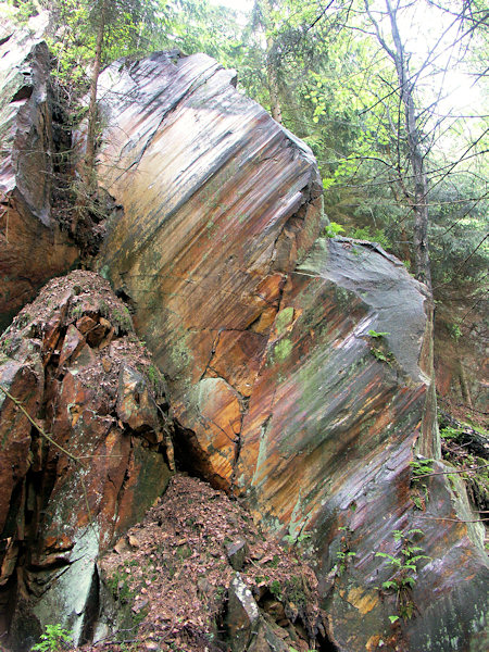 Tektonisch geglätteter Felsen im verlassenen Steinbruch unter dem Sedlecký Špičák.