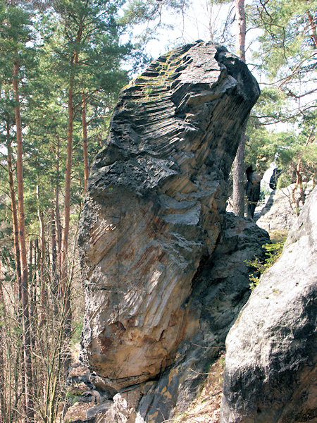 Felsgebilde mit Sandsteinsäulen an der Dutý kámen (Hohlstein) bei Cvikov (Zwickau).