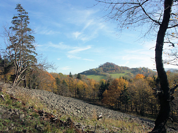 Blick von Hang des Studenec (Kaltenberg) auf den Zlatý vrch (Goldberg).