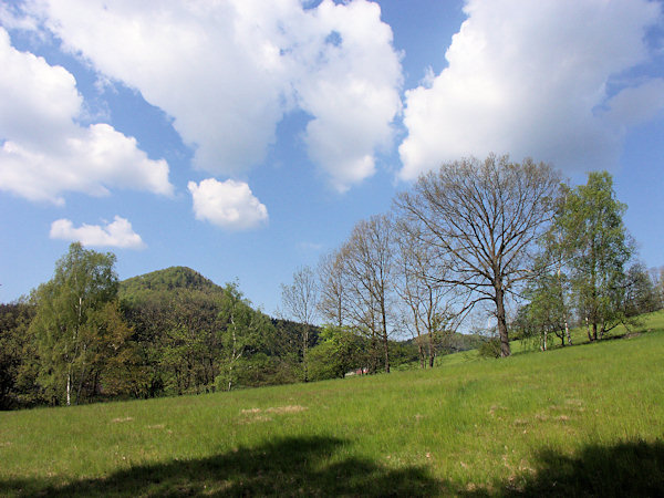 Frühlingswiese mit dem Klíč (Kleis) im Hintergrund.