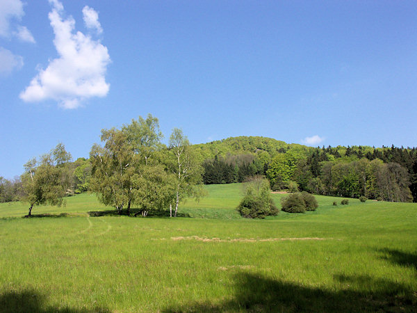 Wiesen unterhalb des Rousínovský vrch (Hamrich).