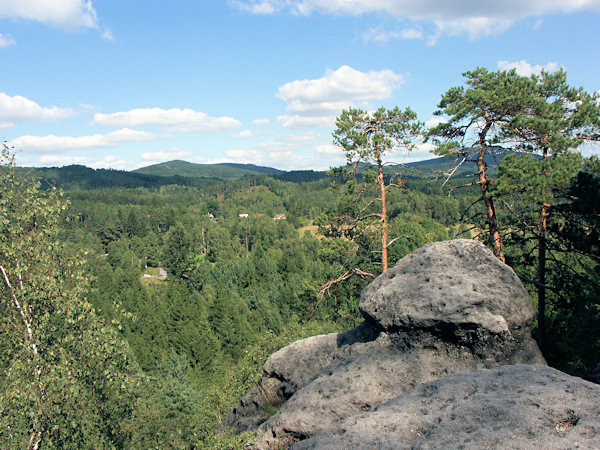 Pohled od Křížové věže na lesy v okolí Naděje. Za stromy vpravo je ukrytý Hvozd.