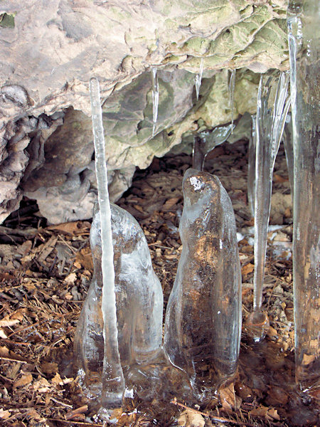 Ledová výzdoba ve Vinném sklepě na Kobyle.