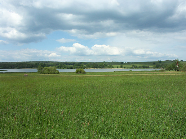 Beim Bernsdorfer Teich.