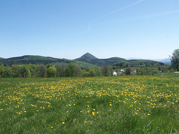 Frühlingswiese oberhalb von Polevsko (Blottendorf).