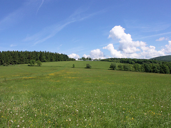Wiesen auf dem Polevský vrch (Blottendorfer Berg).