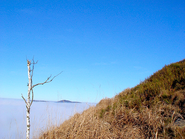 Pohled z travnatého svahu Klíče k Pěnkavčímu vrchu.