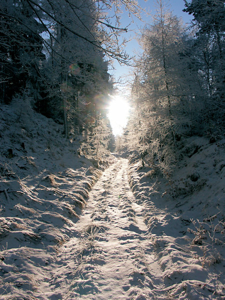 Winterlicher Weg zur Sonne.