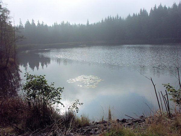 Der Malý Jedlovský rybník (Kleiner Tannteich) im vormittäglichen Nebel.