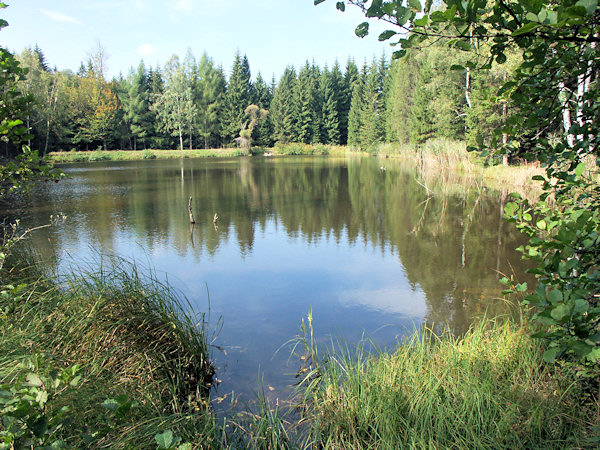 Der Malý Jedlovský rybník (Kleiner Tannteich).