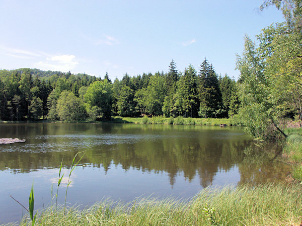 Der Velký Jedlovský rybník (Grosser Tannteich).