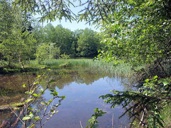Am Hraniční rybník (Waldsteinteich).