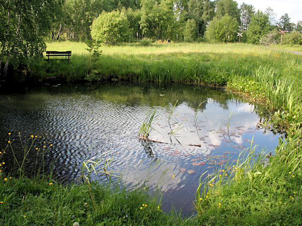 Der kleine Teich in Rybniště (Teichstatt).