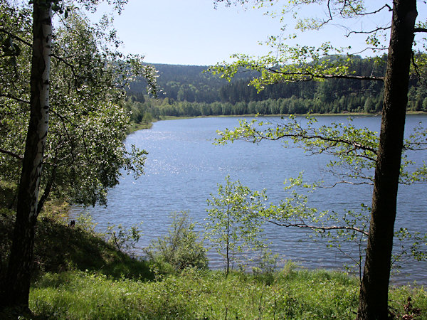 Frühling am Chřibská přehrada-Damm (Kreibitzdamm).