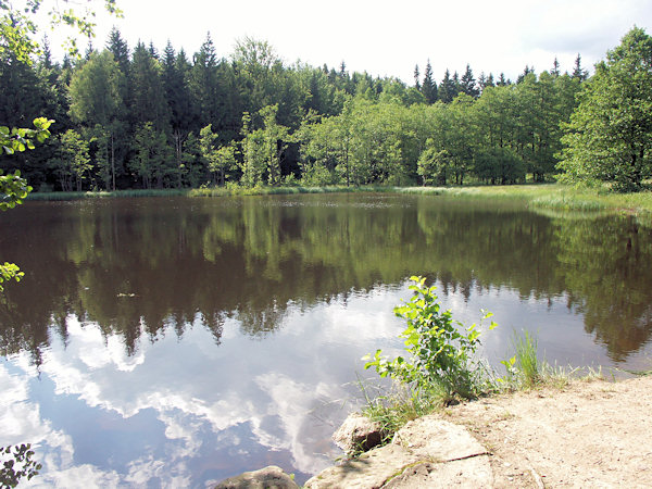 Der Teich Svorský rybník (Röhrsdorfer Teich).