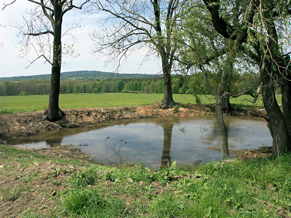 Kleiner Teich auf dem Světlický vrch (Lichtenberg).