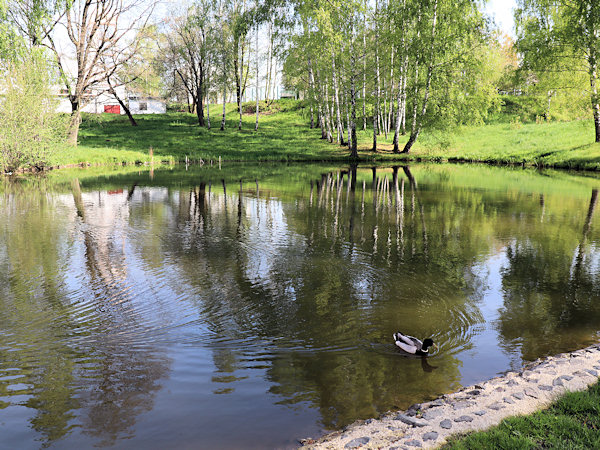 Der Teich unter dem ehemaligen Krankenhaus in Krásná Lípa (Schönlinde).