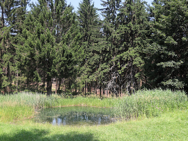 Teich in Myslivny (Jägerdörfel) unter der Lausche.