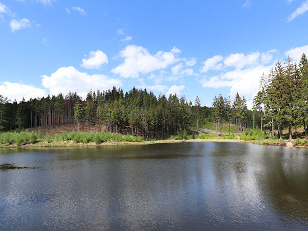 Bělský rybník (Bielsteich) bei Kytlice (Kittlitz).