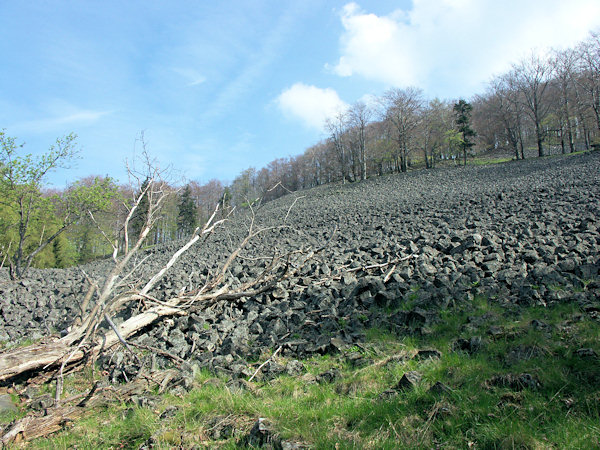 Die Hänge des Studenec bedecken ausgedehnte Schuttfelder.