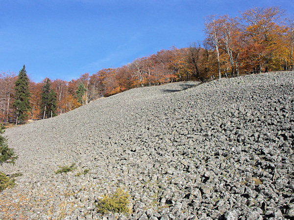 Die Schuttfelder auf dem Studenec besteht aus ungefähr gleich grossen Basaltblöcken.