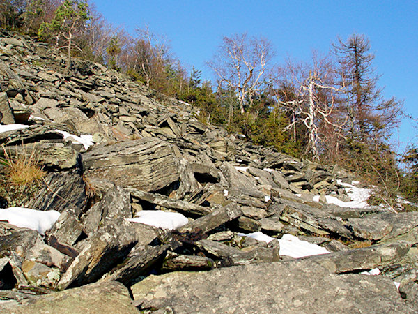 Phonolithschutt auf den Abhängen des Jedlová-Berges.