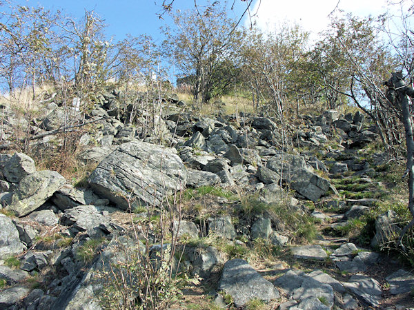 Ein noch heute benutzter alter Fußsteig steigt über ein schütter bewachsenes Schuttfeld auf den Südgipfel des Hvozd hinauf.