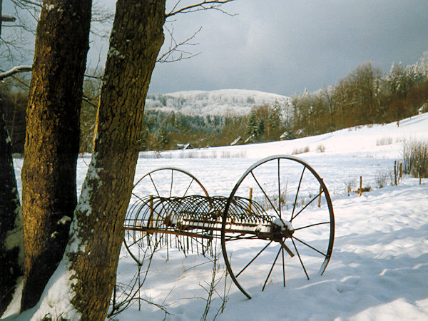 Verschneite Wiesen bei Rousínov (Morgentau).