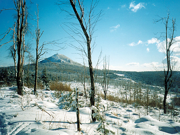 Schneelandschaft unter dem Luž (Lausche).