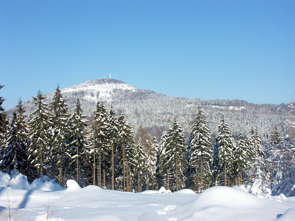 Blick auf den Jedlová (Tannenberg) vom Hange des Velká Tisová (Grosser Eibenberg).