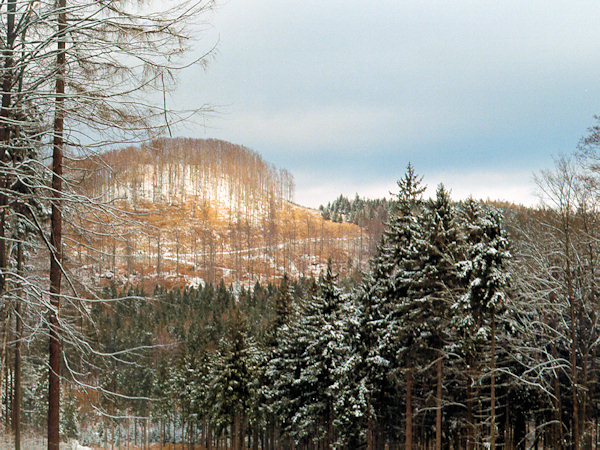 Popelová hora (Aschberg) bei Kytlice (Kittlitz).