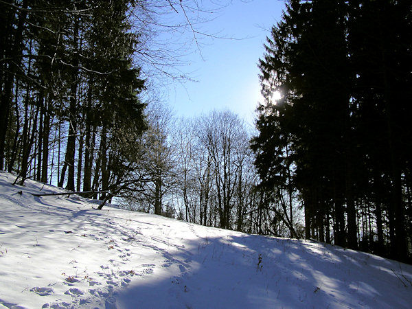 Unter dem Střední vrch (Mittenberg).
