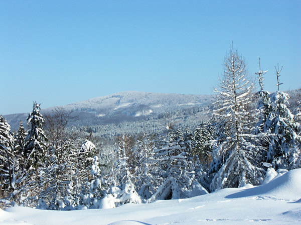 Pohled na Pěnkavčí vrch.