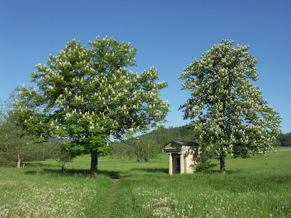 Kapelle in den Wiesen am Weg von Svor (Röhrsdorf) nach Martinovo údolí (Martinstal).
