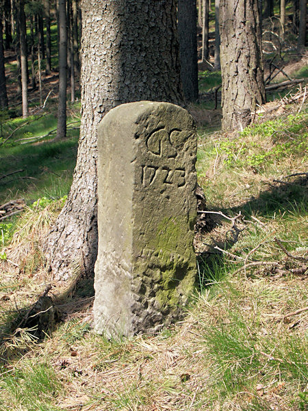 Kamenný mezník, vyznačující hranici grabštejnského panství, u Hraniční cesty z Polesí k Tobiášově borovici.