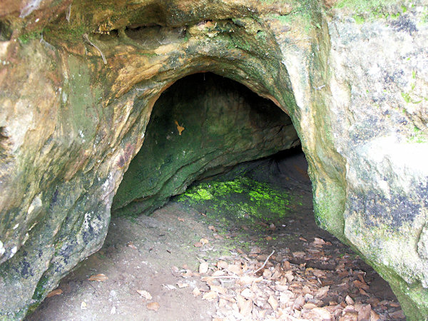 In der höhle unter dem Trávnický vrch (Glaserter Berg) wächst das grünlich leuchtende Leuchtmoos.