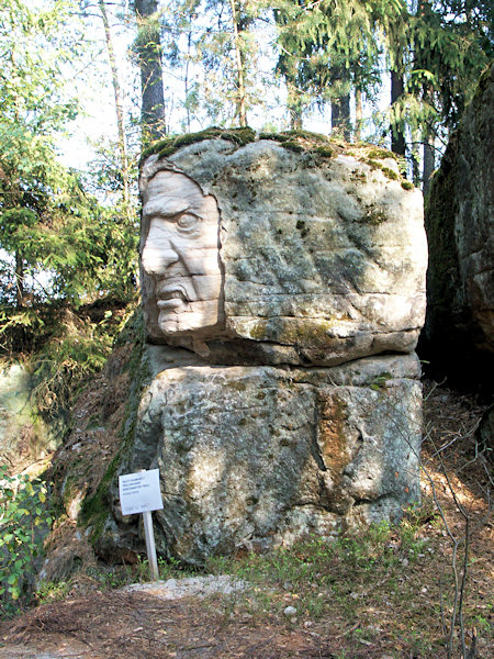 Novodobý reliéf obličeje na Skalní stezce u Brniště.